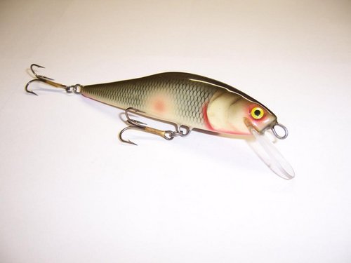 abachi 10,5cm 18g.jpg