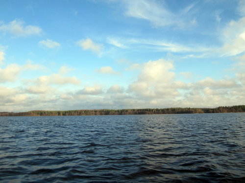 04.jpg