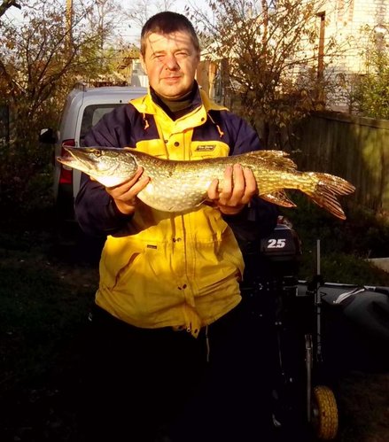 IMG_20131102_152028.jpg (83.76 КБ) 2592 просмотра 3.2 кг