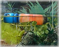 0947-05s.jpg