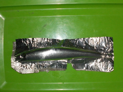 DSCN3390.JPG