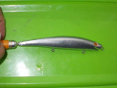DSCN3397.JPG