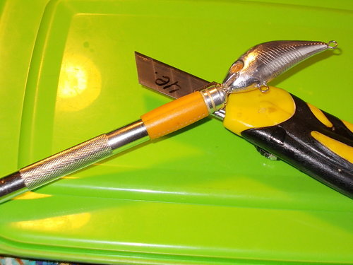 DSCN3445.JPG