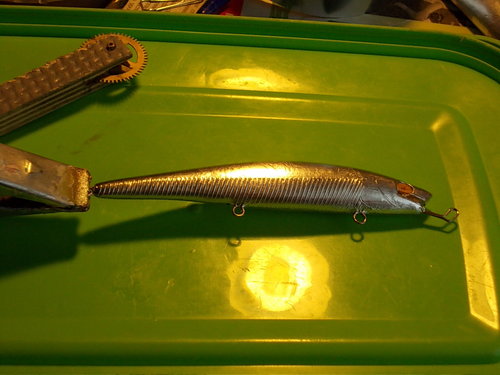 DSCN3410.JPG