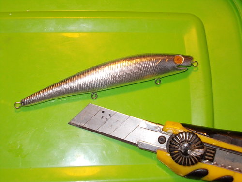 DSCN3423.JPG
