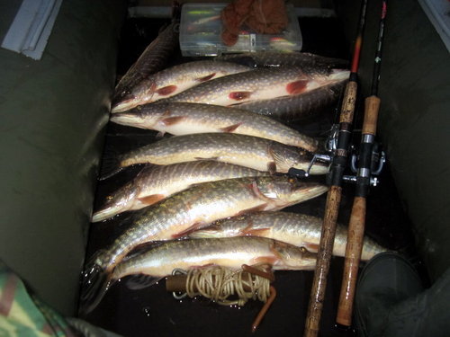 ял5.jpg (159.27 КБ) 2904 просмотра Итого. На уху друзьям...