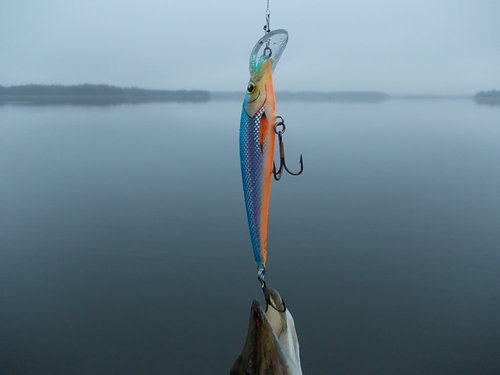 DSCN3495.JPG