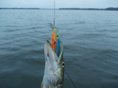 DSCN3500.JPG