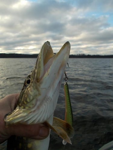 DSCN3528.JPG