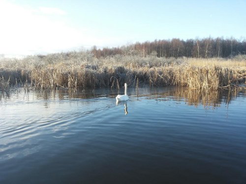 20131125_105927.jpg