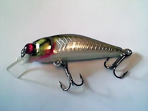 Snapshot_20110216_3.jpg