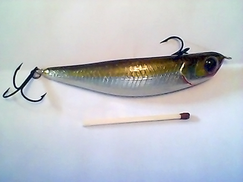 Snapshot_20110216_31.jpg