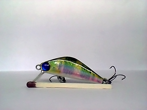 Snapshot_20110217_27.jpg
