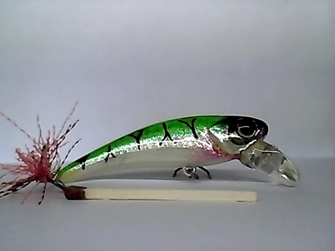 Snapshot_20110217_24.jpg