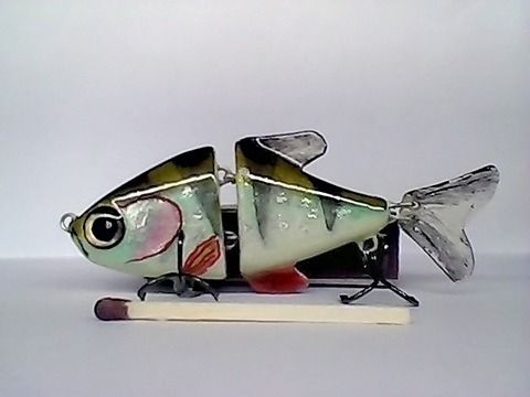 Snapshot_20110217_29.jpg