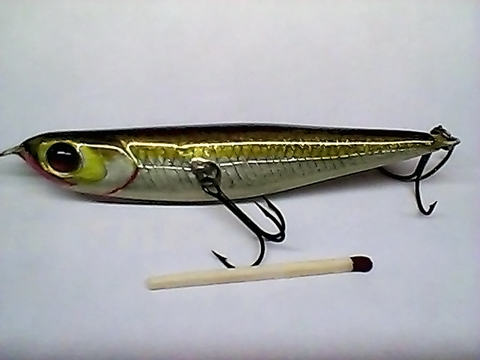 Snapshot_20110216_30.jpg