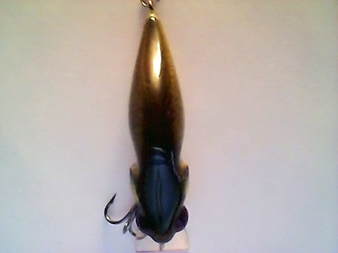 Snapshot_20110217_58.jpg