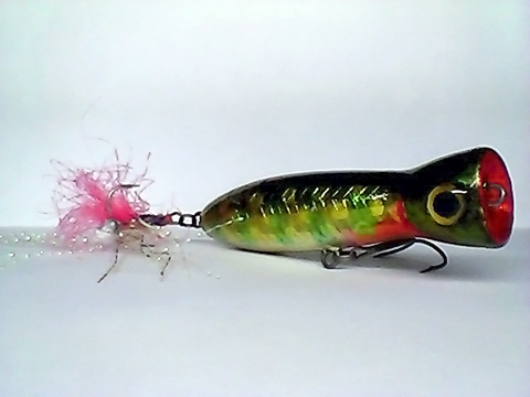Snapshot_20110217_57.jpg