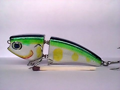 Snapshot_20110217.jpg