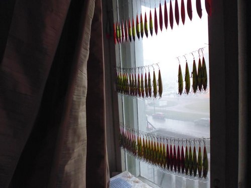 P1000052.JPG