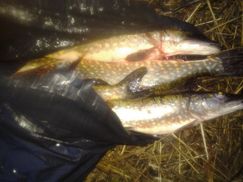 2013-12-21 15.29.41.jpg