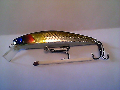 Snapshot_20110216_39.jpg