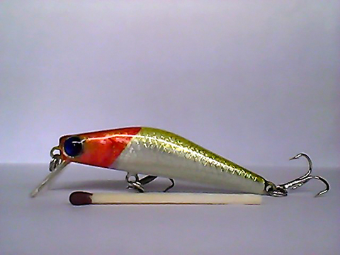 Snapshot_20110217_32.jpg