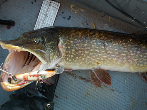 DSCN3746.JPG