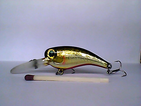 Snapshot_20110217_47.jpg