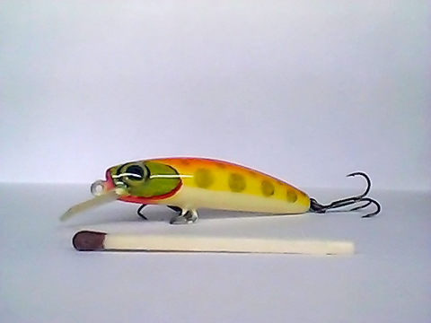 Snapshot_20110217_44.jpg