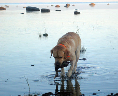 2Juzi_2010.jpg