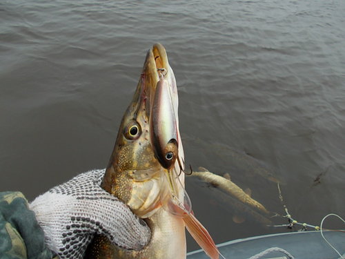 DSCN3789.JPG