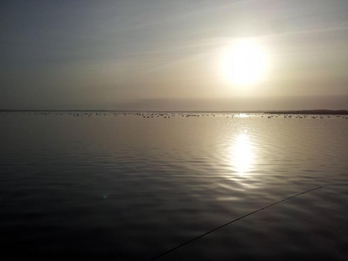 20140105_120302.jpg