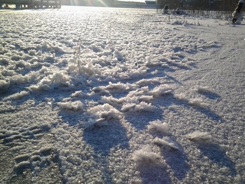 2014-01-18 11.23.20.jpg