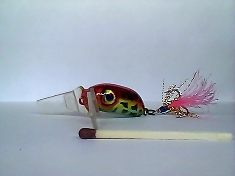 Snapshot_20110217_56.jpg