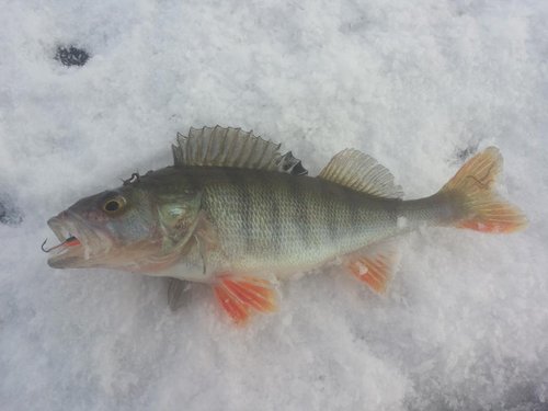 20140125_125623.jpg