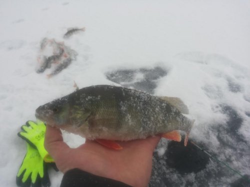 20140126_134320.jpg
