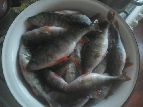 20140126_154341.jpg