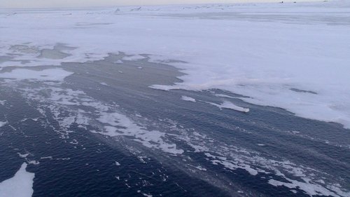 Omedu_02_02_2014.jpg