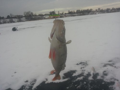 20140202_091539.jpg