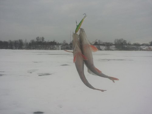 20140202_093409.jpg