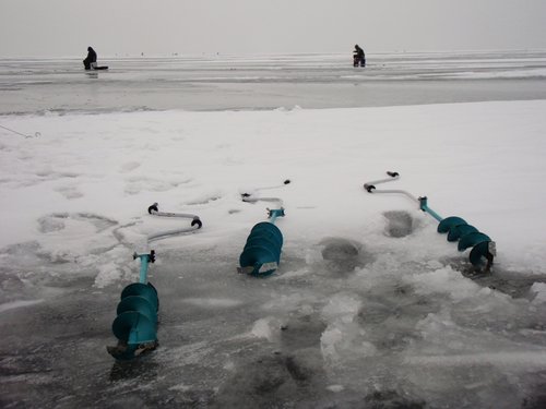 p8.JPG