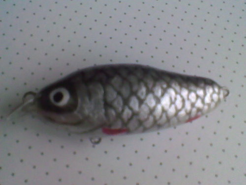 zobr045.jpg