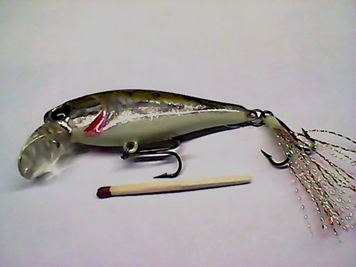 Snapshot_20110216.jpg