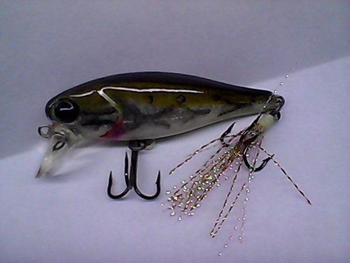 Snapshot_20110216_16.jpg