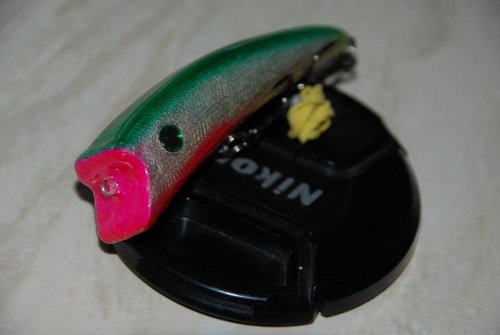 DSC_6178.JPG