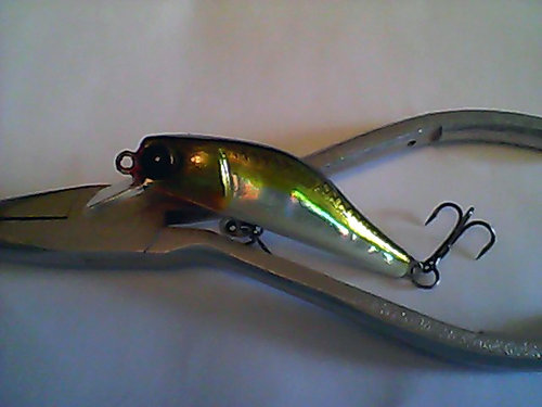 Snapshot_20110223_15.jpg