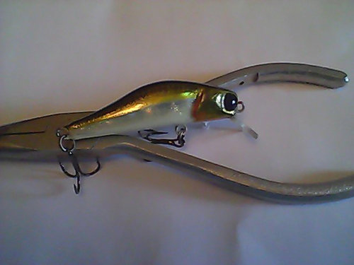Snapshot_20110223_16.jpg
