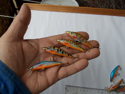 DSCN4232.JPG