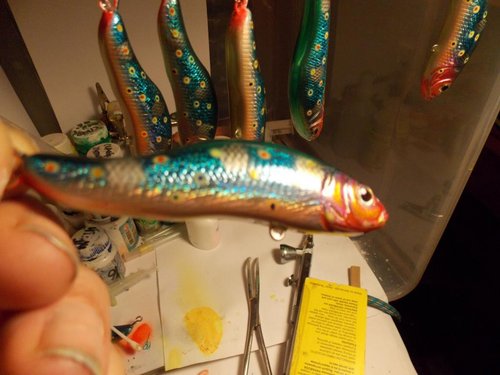 DSCN2228.JPG